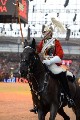 Cavalry - 00233